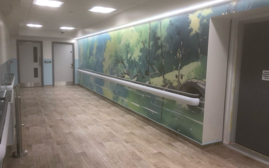 Luton and Dunstable Hospital expansion